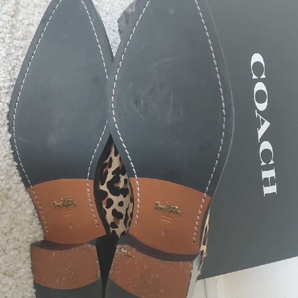 Coach Leopard Print Ankle Boots - Picture 6 of 12